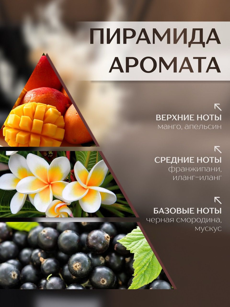Диффузор с сухоцветами в Премиум тубусе Accents Mango Skin - фото 2