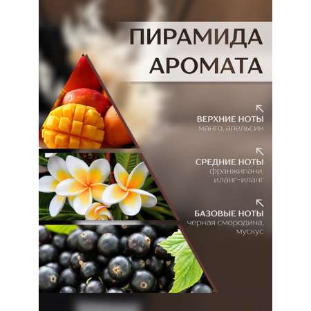 Диффузор с сухоцветами в Премиум тубусе Accents Mango Skin