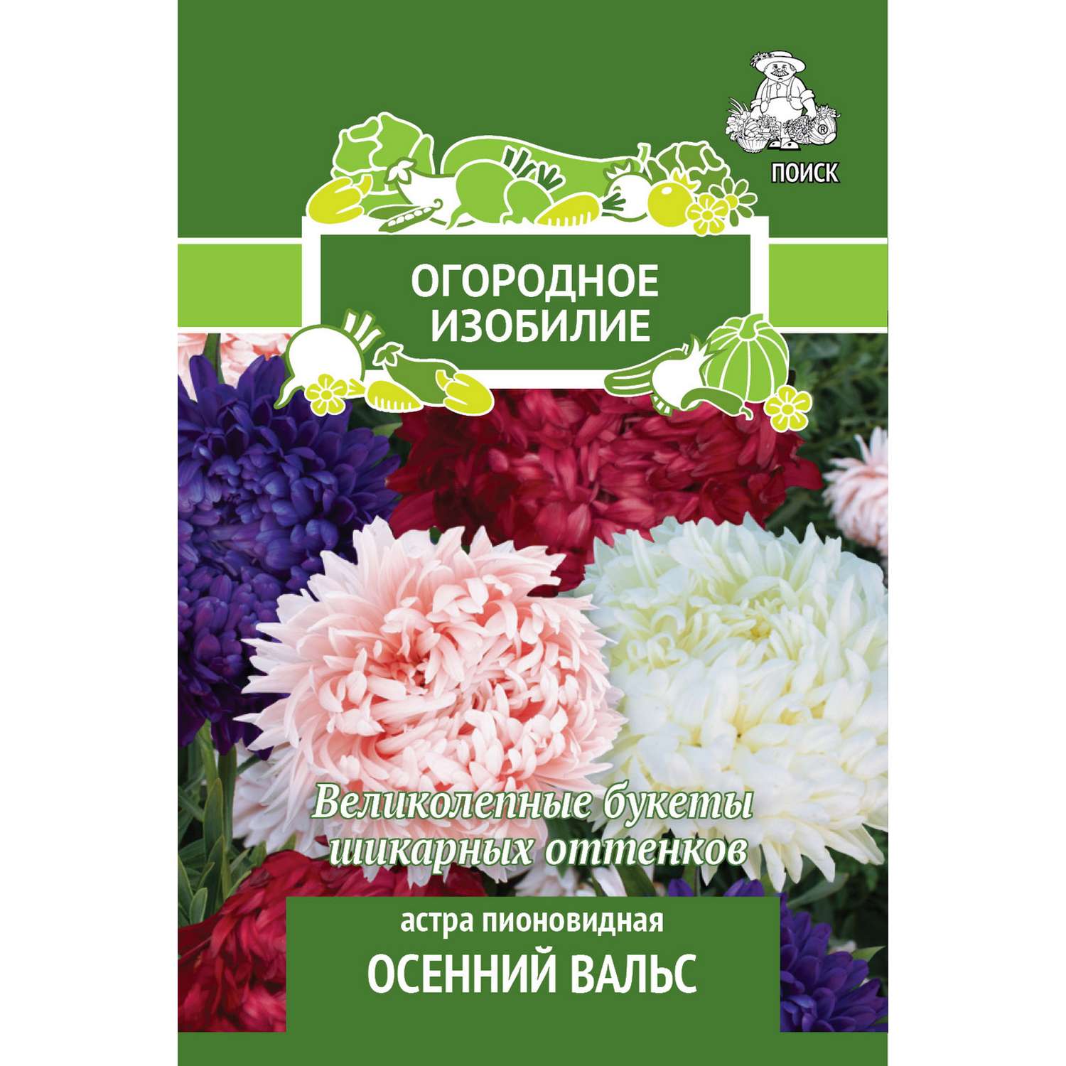 Астра пионовидная Осенний вальс (Огородное изобилие) 0.3г - фото 1