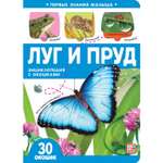 Книга Malamalama Первые знания малыша с окошками. Луг и пруд