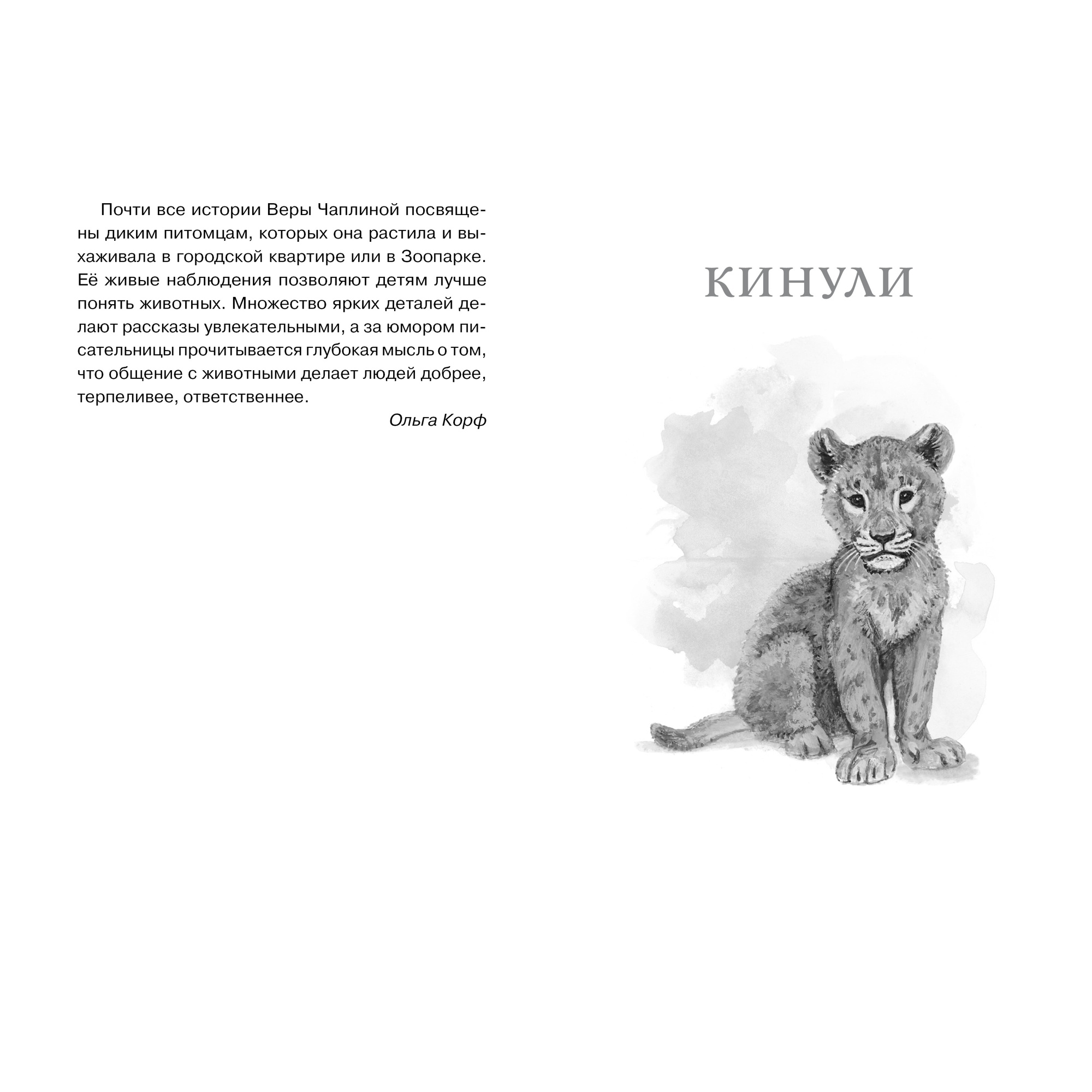 Книга МАХАОН Фомка - белый медвежонок Чаплина В. - фото 2