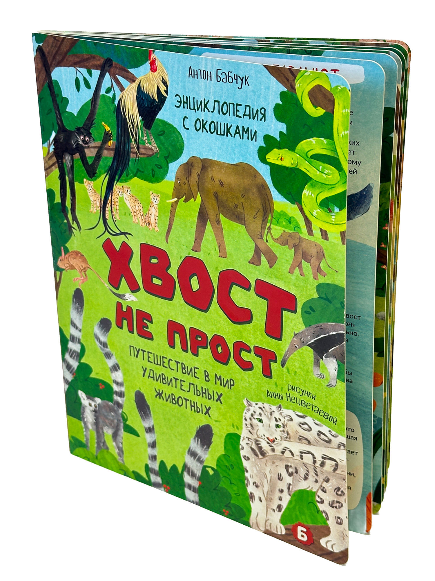 Энциклопедия с окошками БимБиМон Книга детская энциклопедия с окошками Виммельбух - фото 6