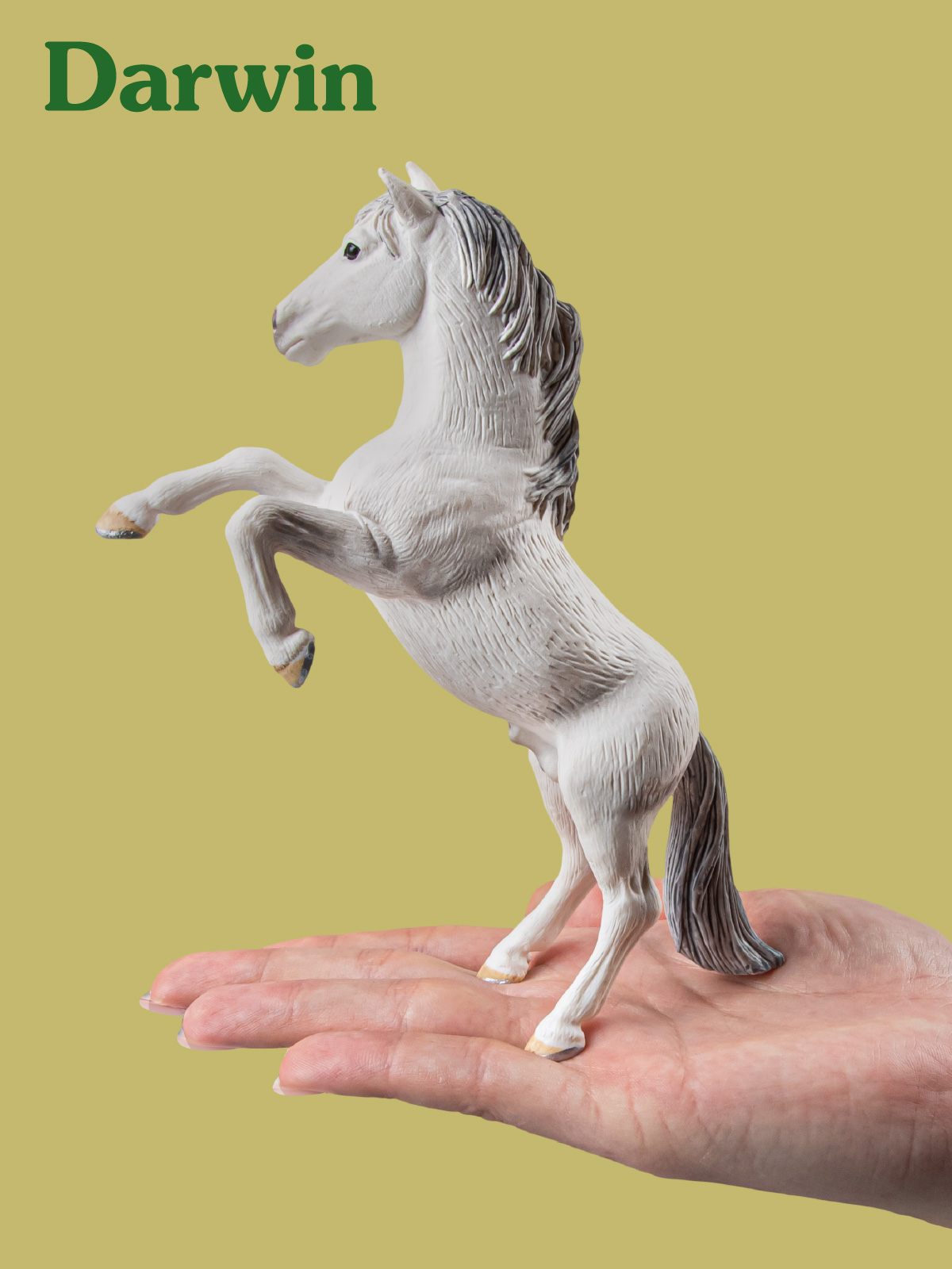 Игровой набор DARWIN Лошади 2шт - фото 2