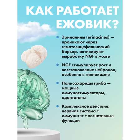 Ежовик гребенчатый мицелий Guten Morgen капсулы 700 мг для мозга и памяти, ions mane