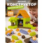 Конструктор Constructa Пакет 250 дет.
