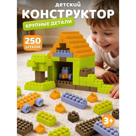 Конструктор Constructa Пакет 250 дет.