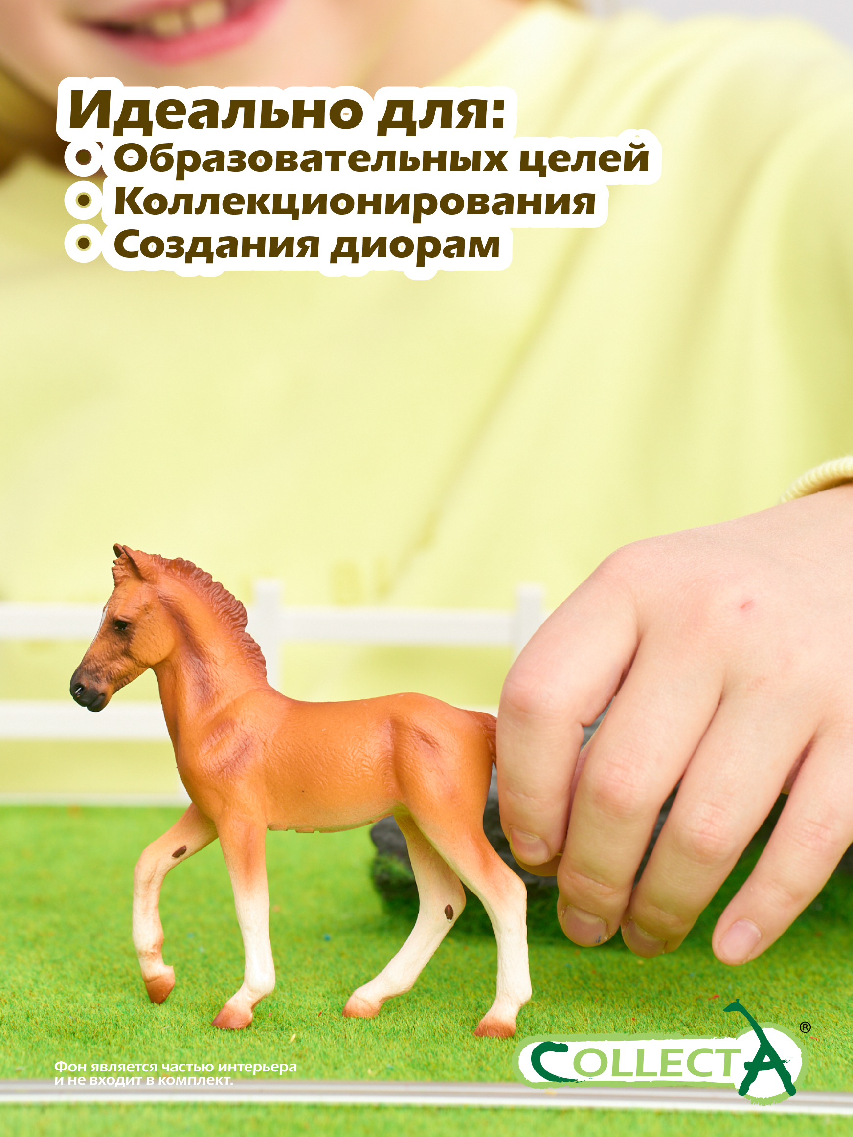 Фигурка Collecta Жеребёнок Перуанский Пасо - фото 6