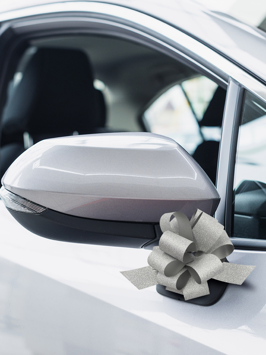 Набор бантиков AXLER для подарков 5 шт на липучке - фото 8