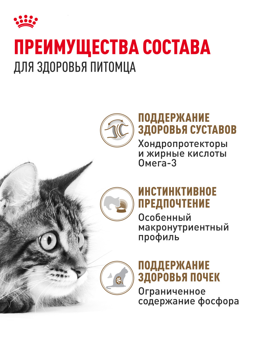 Корм для кошек ROYAL CANIN Ageing 85гр для пожилых 12+ в соусе пауч - фото 3