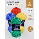 Пряжа для вязания Astra Premium Селена 100г 68м 4шт