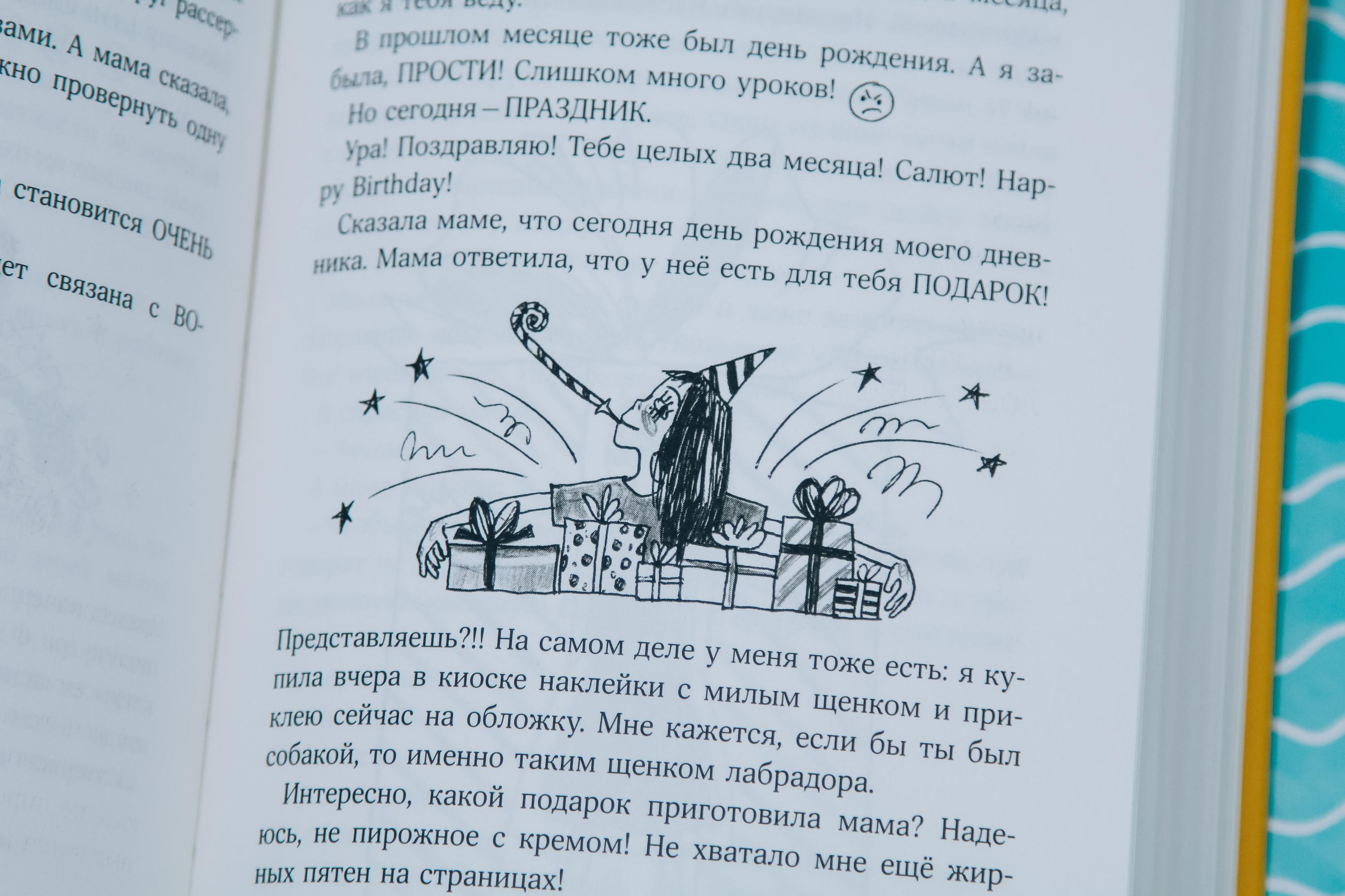 Книга Стрекозa Дневник волонтера - фото 15
