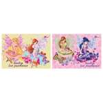 Альбом Академия Холдинг Winx 20 лист.