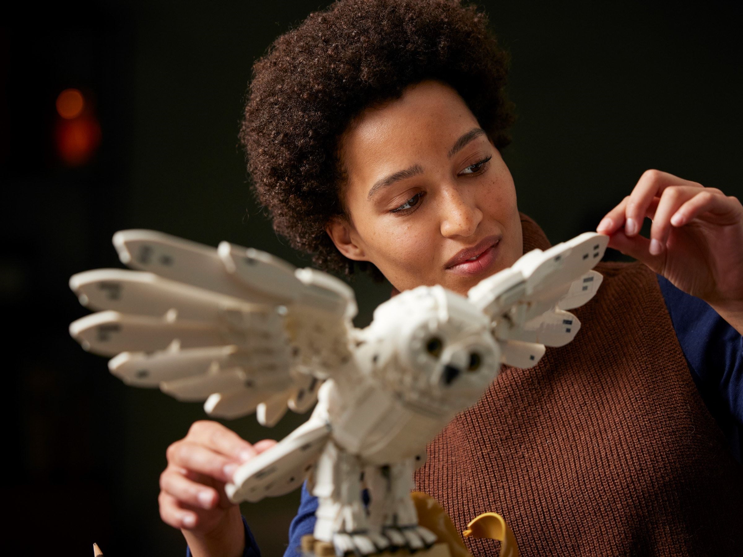 Конструктор LEGO Harry Potter 76391 3010 дет. - фото 3