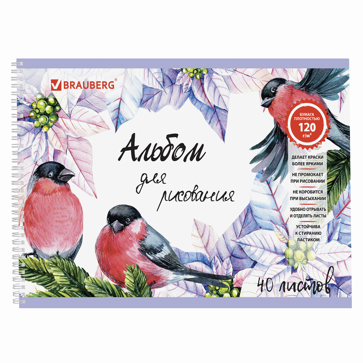 Альбом Brauberg А4 40 лист. 2 шт. - фото 6