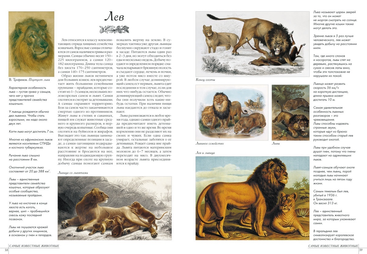 Книга Белый город Самые известные животные - фото 5