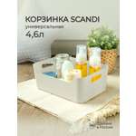 Корзинка универсальная Econova Scandi 27х19х10.5 см 4.6 л светло-серый