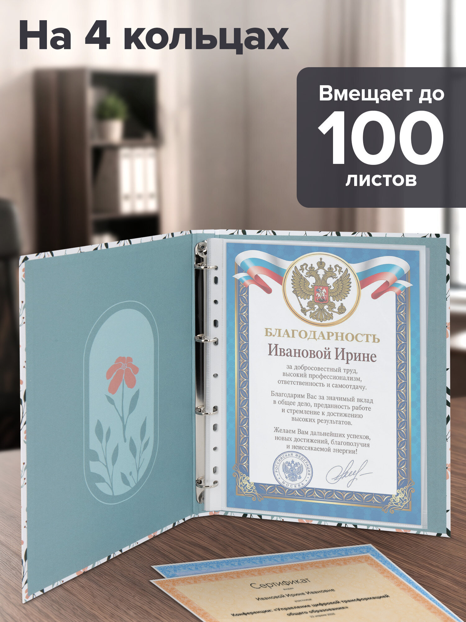 Портфолио школьника Brauberg папка А4 на кольцах 20 файлов для девочки и мальчика - фото 2