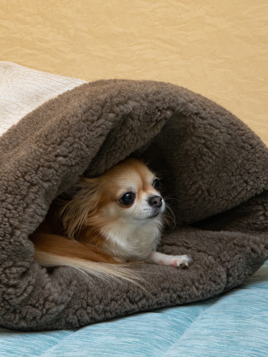 Домик для кошек и собак Пятница Нора с овчиной 50х38х50 см бежевый - фото 2