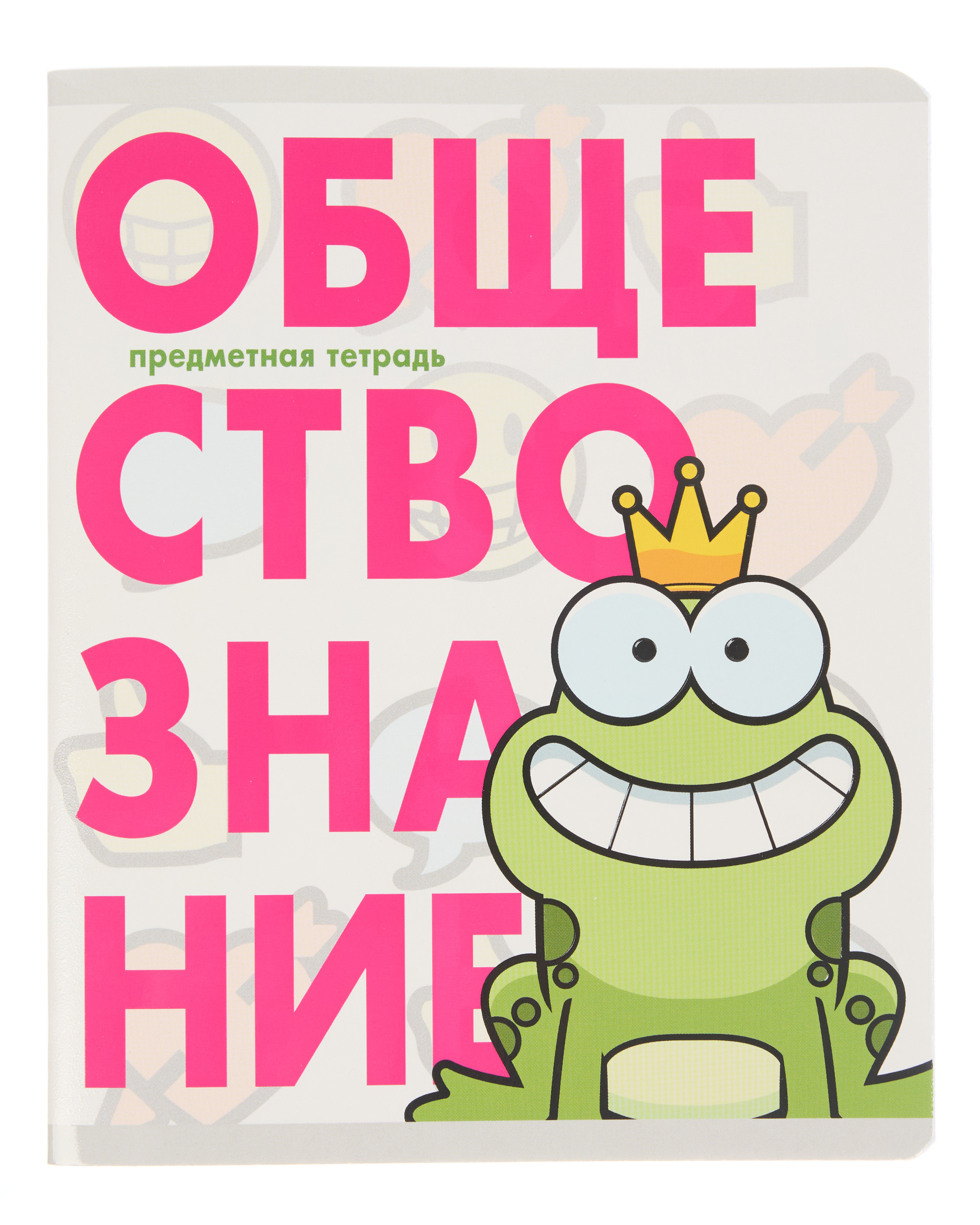 Тетрадь Erhaft 48 лист. (Обществознание) - фото 1