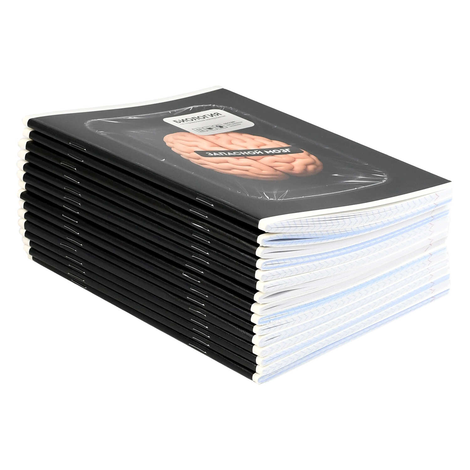 Тетрадь Феникс + 48 лист. 15 шт. (Литература, Русский язык, Обществознание) - фото 2