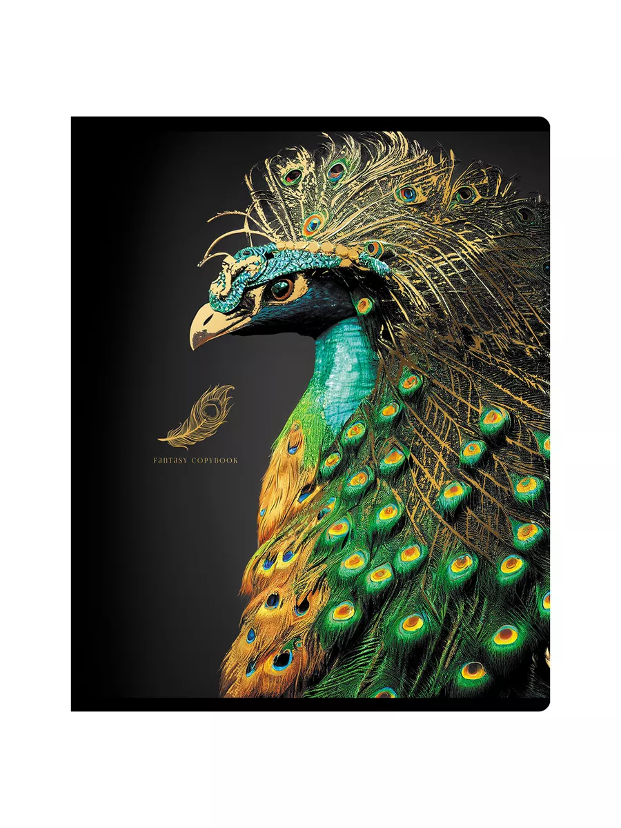 Тетрадь BG клетка 48 лист. 4 шт. - фото 5