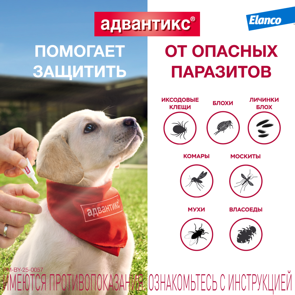 Капли для собак Elanco Адвантикс от 25 до 40 кг против блох и клещей 1пипетка - фото 3