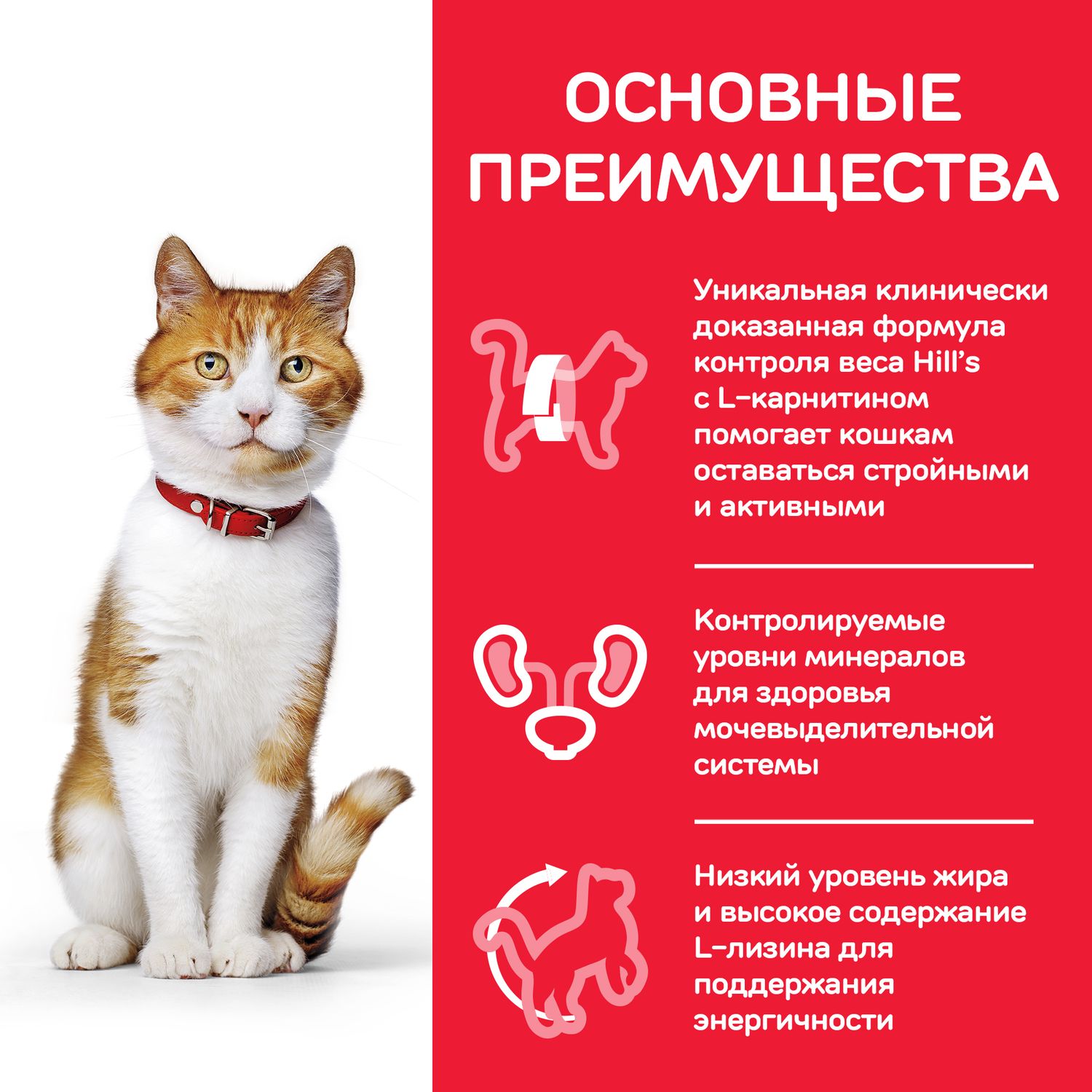 Корм влажный для кошек HILLS 85г Science Plan Sterilised Cat с форелью для стерилизованных от 6 месяцев пауч - фото 4
