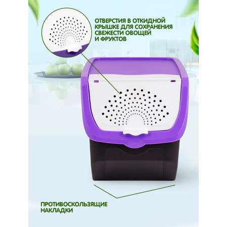 Контейнер elfplast для овощей и фруктов пластиковый 12 л черный фиолетовый 33х24х23.5 см