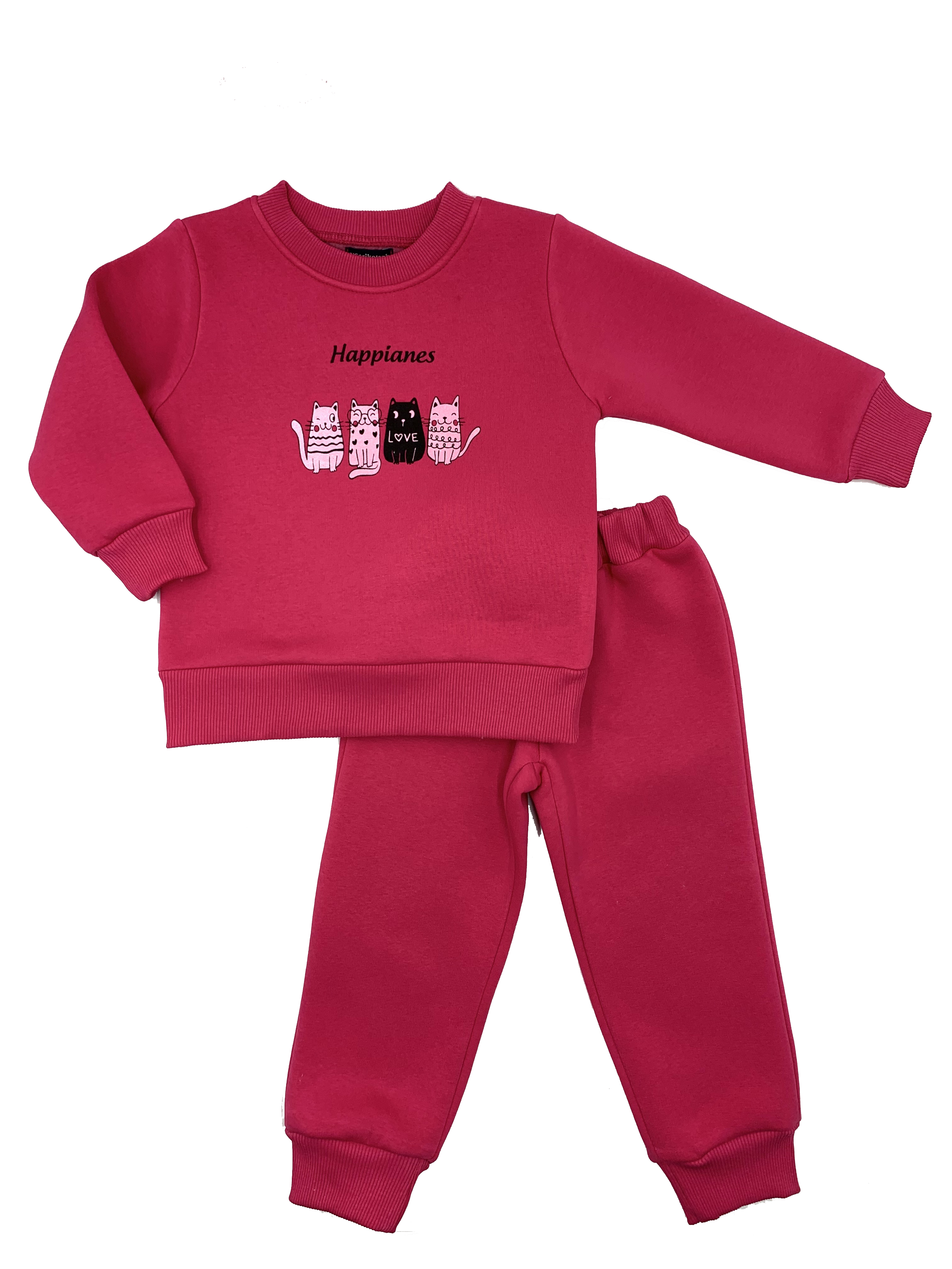 Свитшот и брюки VGtrikotazh d3949 - фото 5