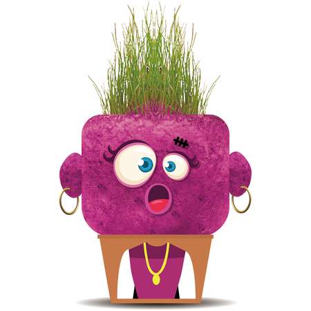 Набор для выращивания Hape