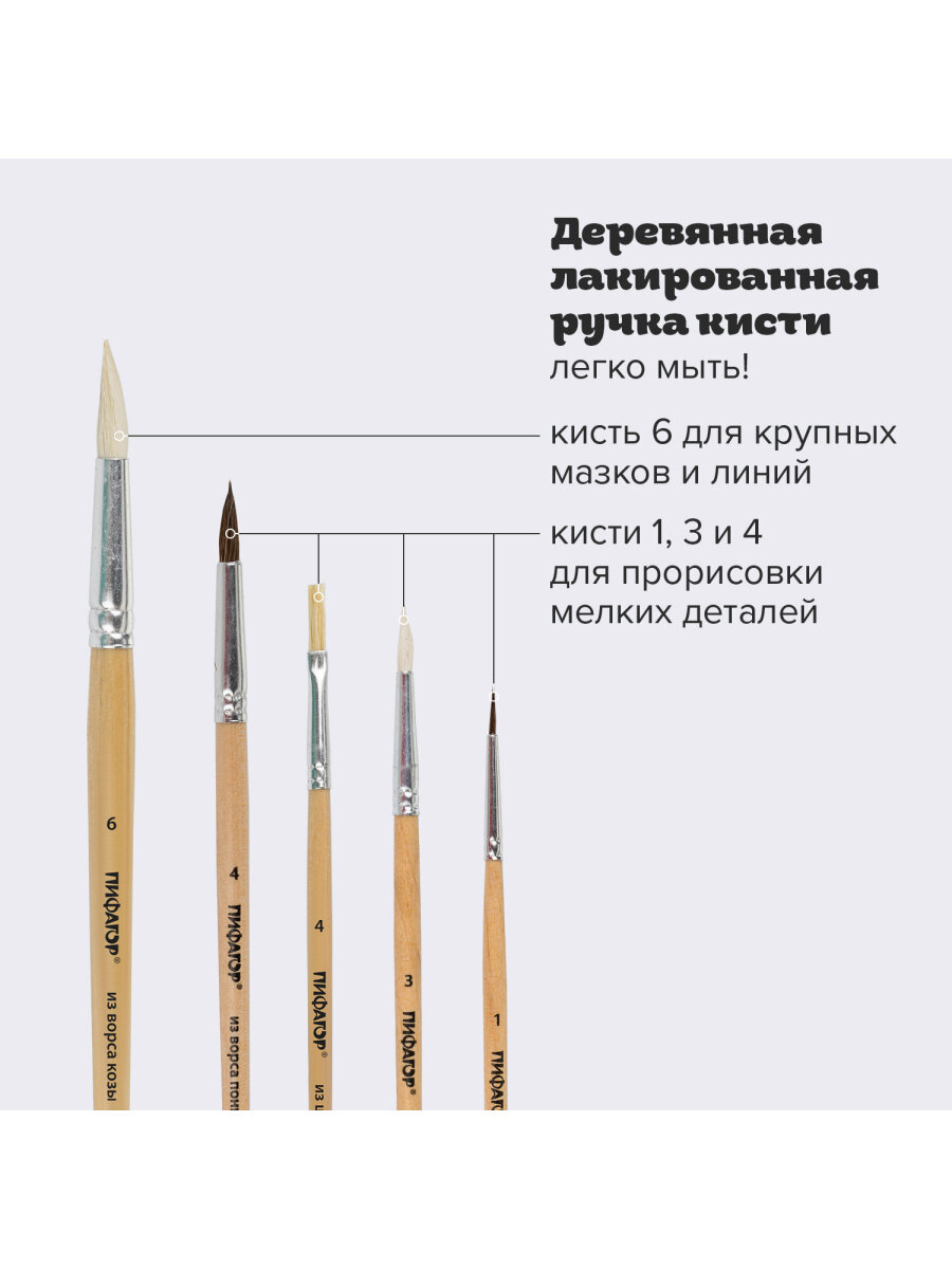 Кисть Пифагор 5 шт. (коза, пони, щетина) - фото 3