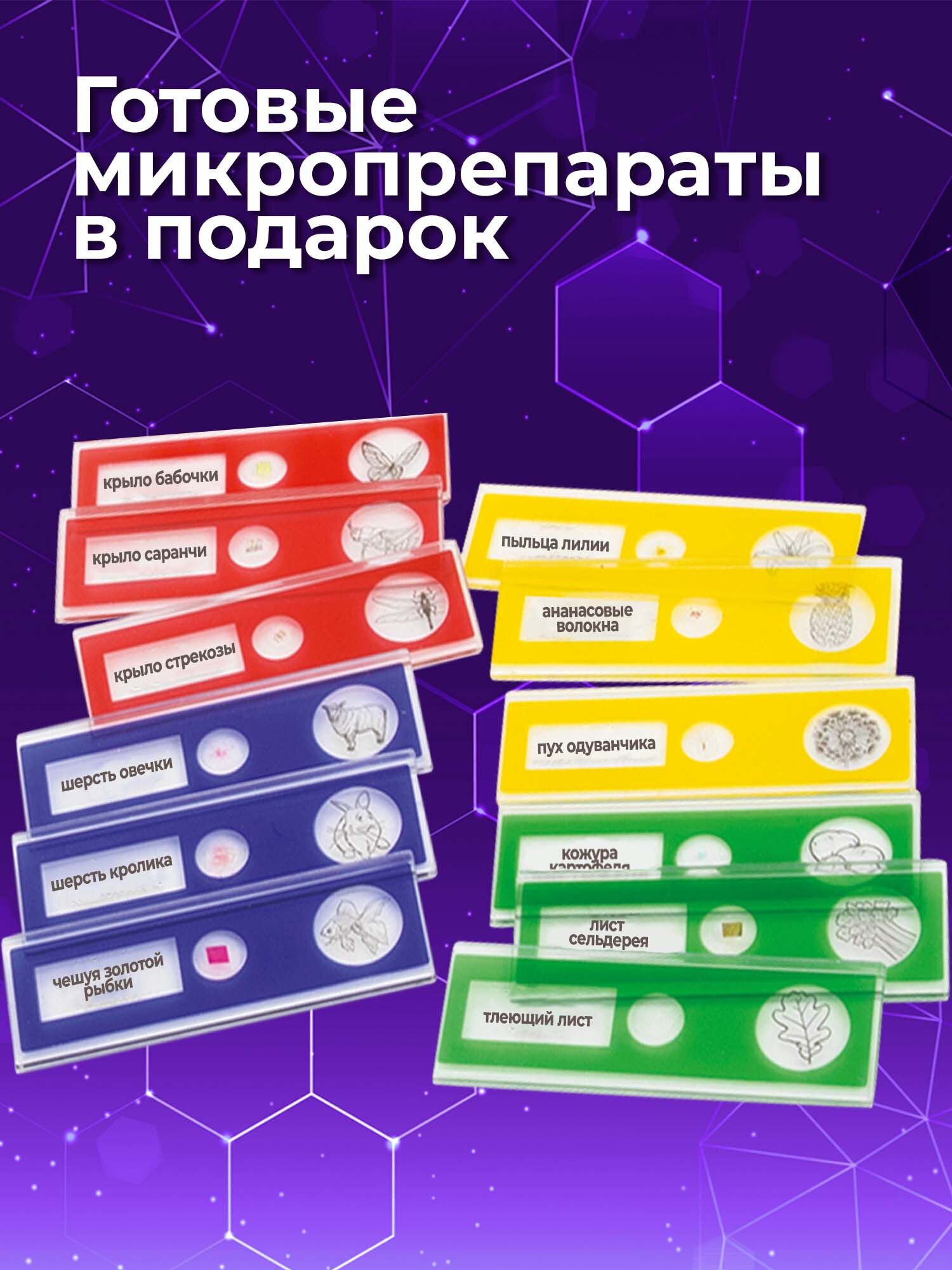 Микроскоп Brauberg - фото 4