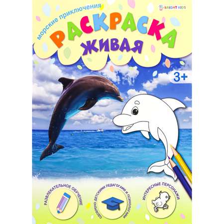 Раскраска А4 Bright Kids морские приключения 8 листов 198х260