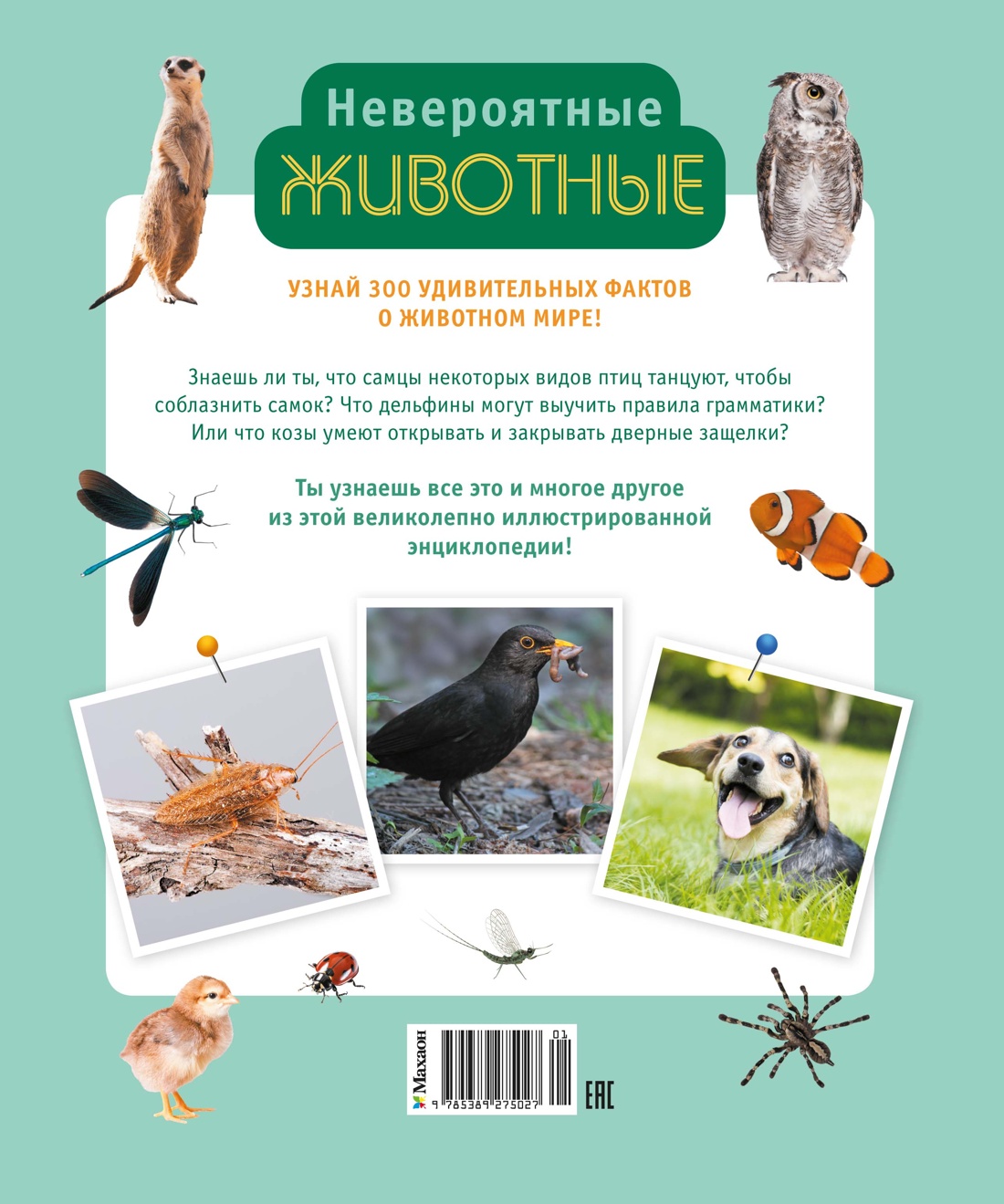 Книга Махаон Альбуи В. Невероятные животные - фото 4