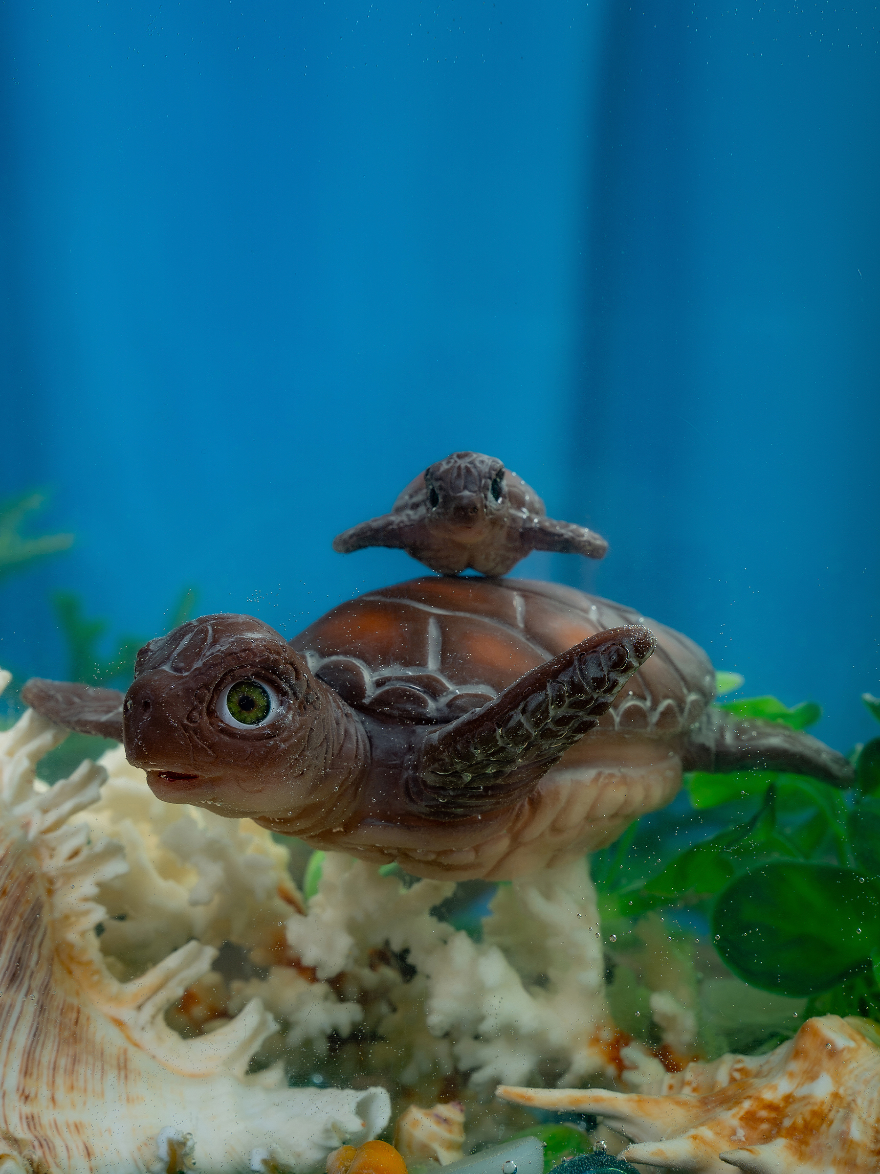 Фигурка Magic Manufactory Magic Ocean Черепаха - фото 29