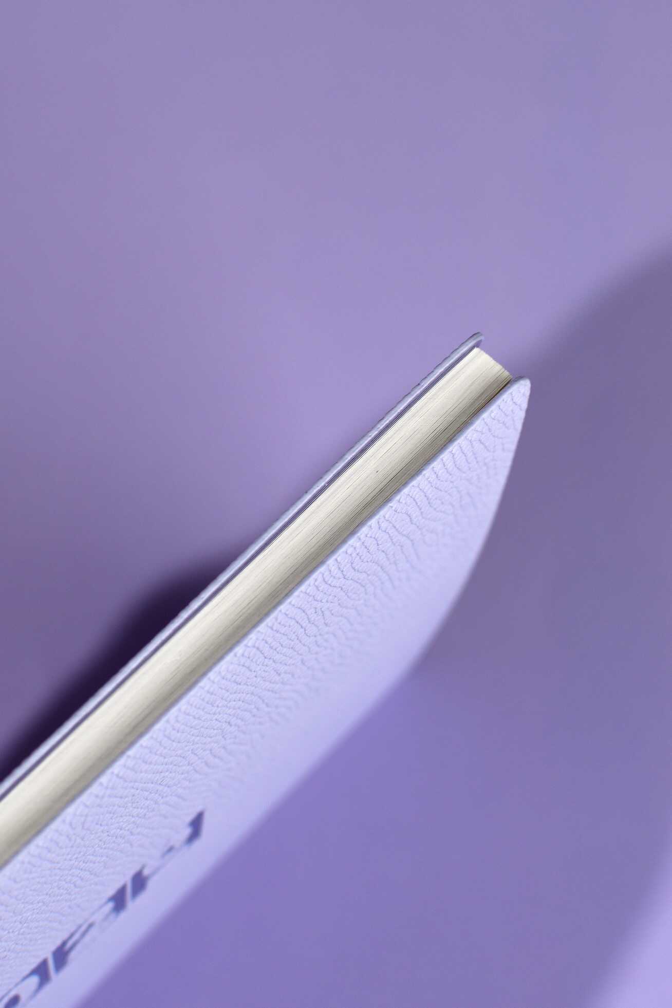 Ежедневник Феникс + ESCALADA 64 лист. - фото 8