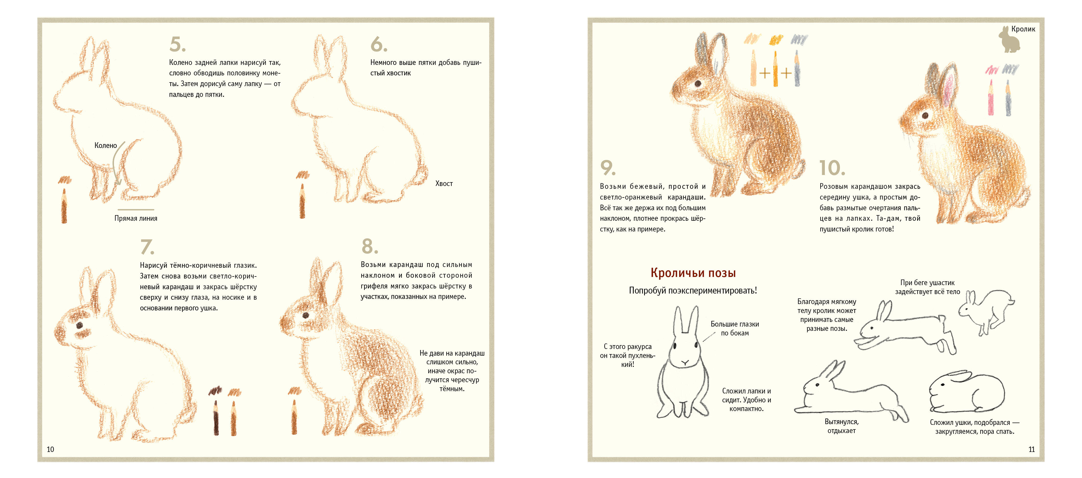 Книга АСТ Рисуем милых животных - фото 7