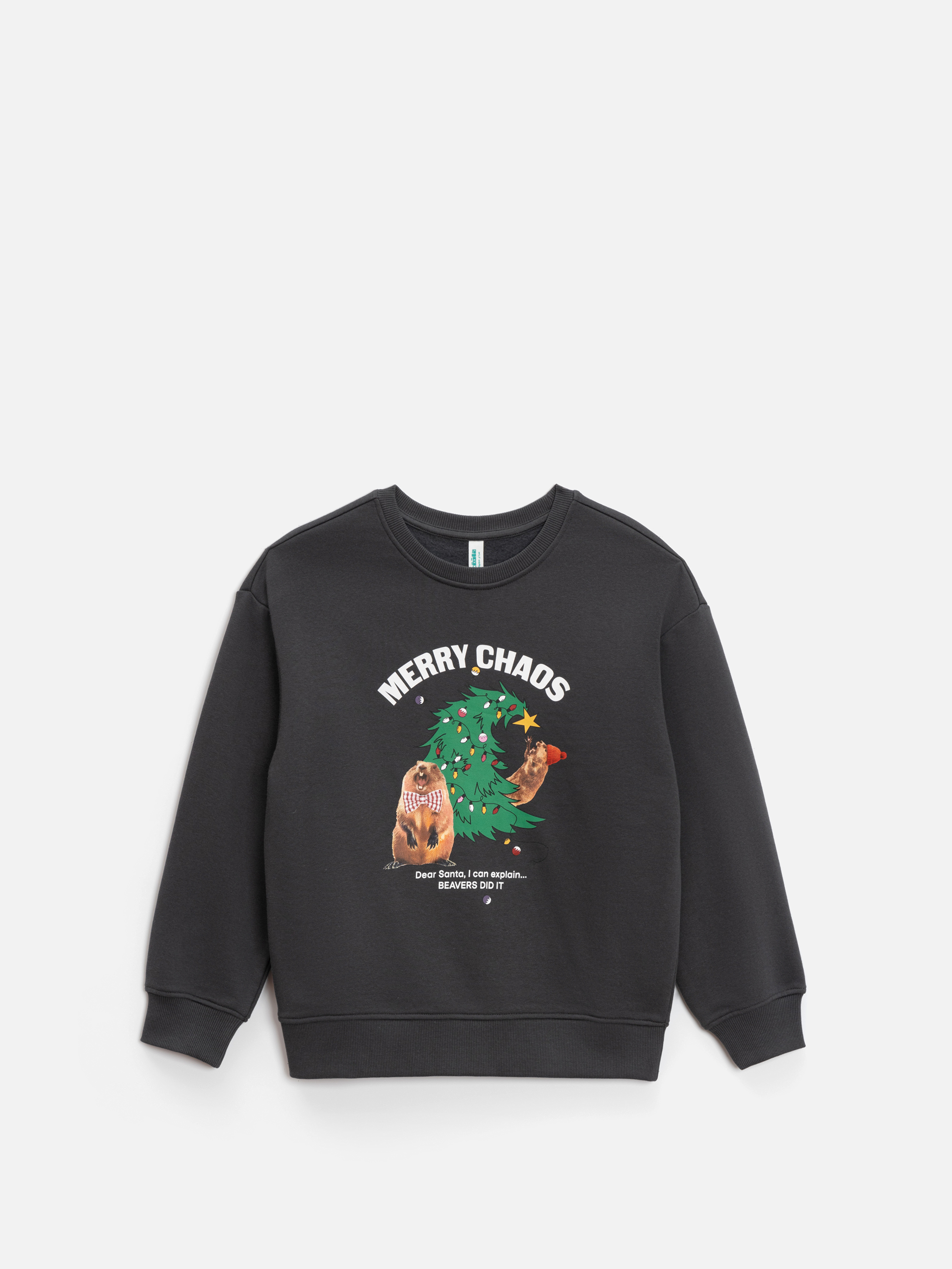 Свитшот Acoola 20230170024_0093553 - фото 4