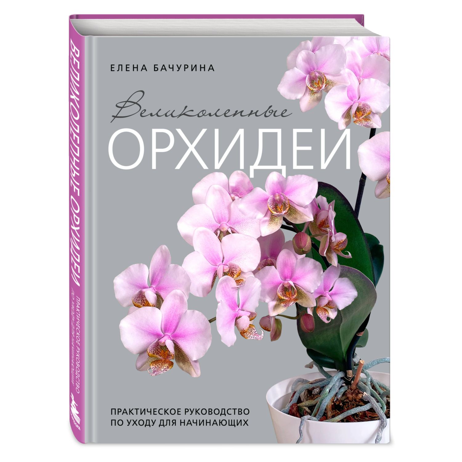 Книга БОМБОРА Великолепные орхидеи. Практичное руководство по уходу для начинающих - фото 1