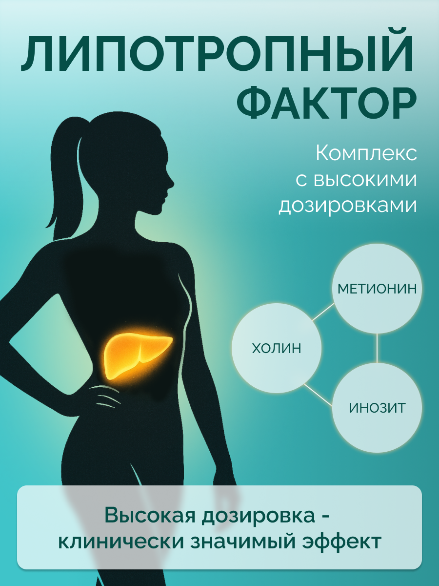 БАД MedCraft Липотропный фактор ММ 60 капсулы - фото 4