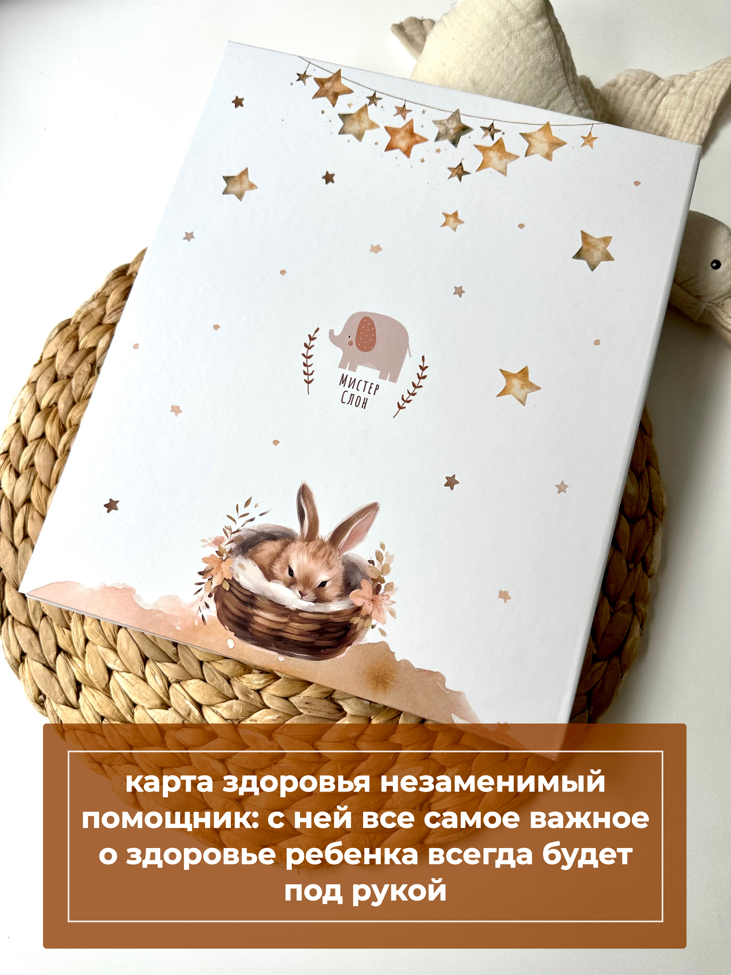 Папка на кольцах МистерСлон А4 - фото 4