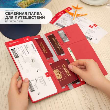 Папка-органайзер Flexpocket