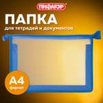 Папка для тетрадей Пифагор А4