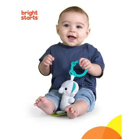 Игрушка Bright Starts подвеска