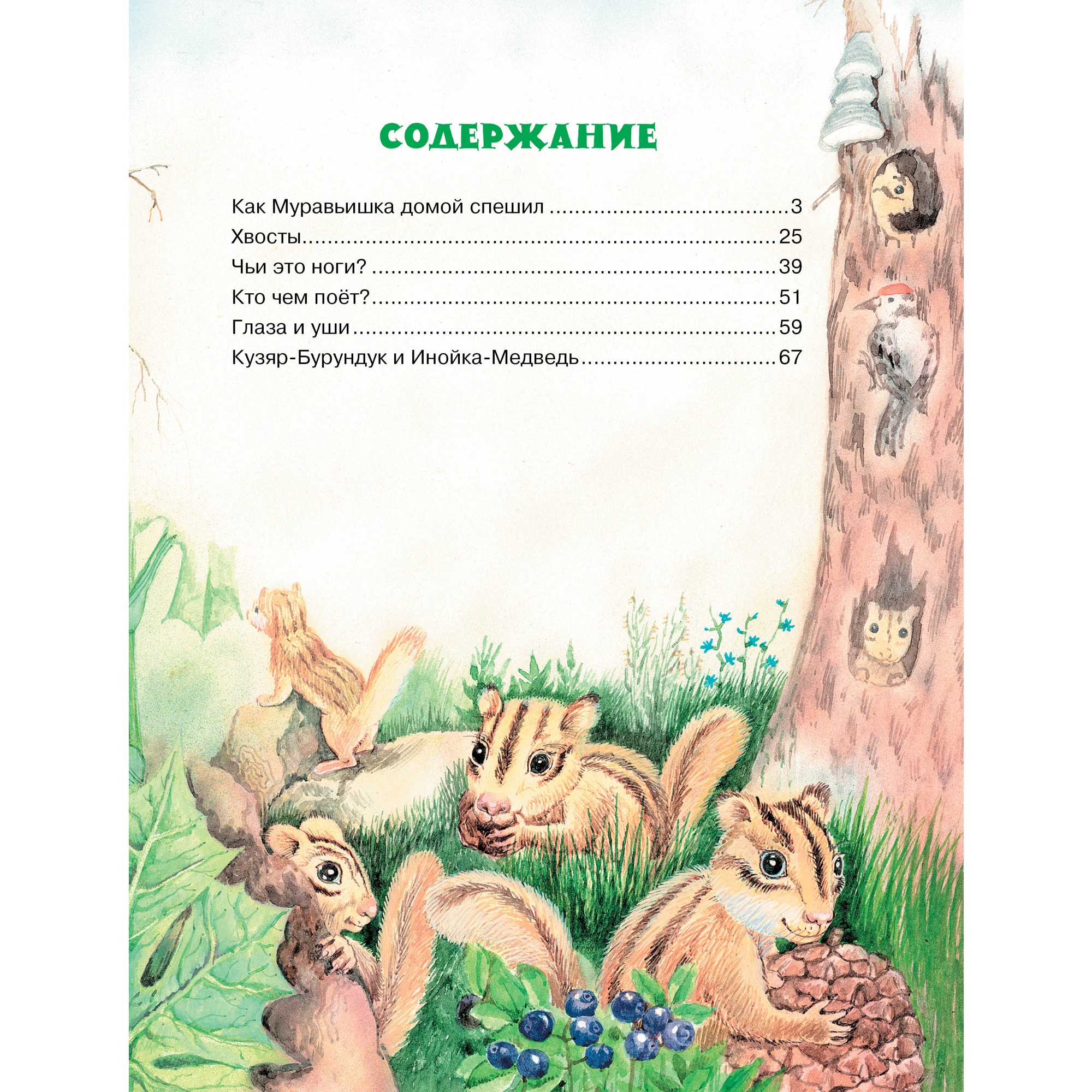 Книга МАХАОН Как муравьишка домой спешил Бианки В. В. - фото 8