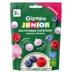 Фруктовые кусочки Gipopo Черника-малина 6 г
