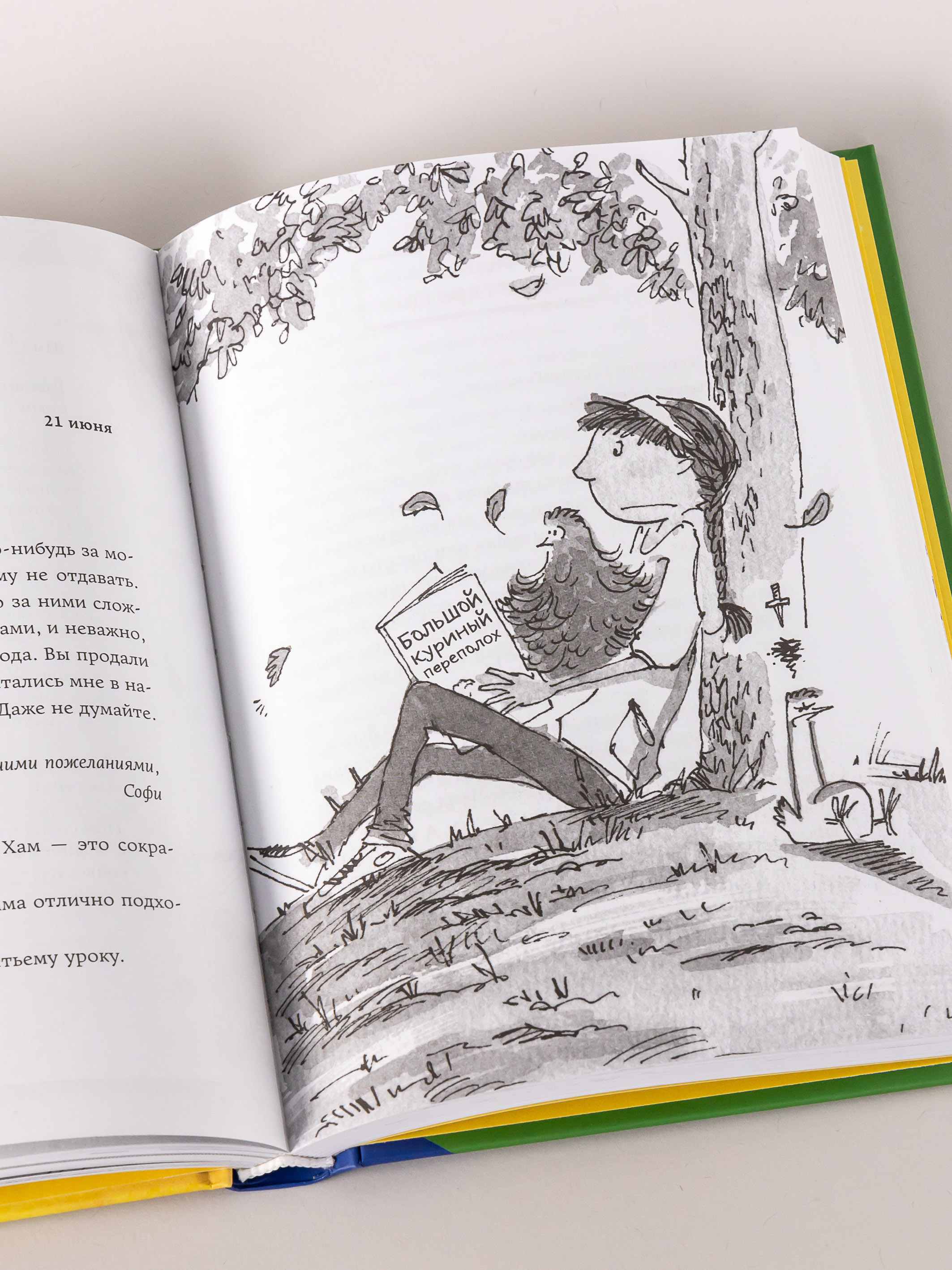 Книга Альпина. Дети Необыкновенные куры для лучшего фермера-птицевода - фото 10