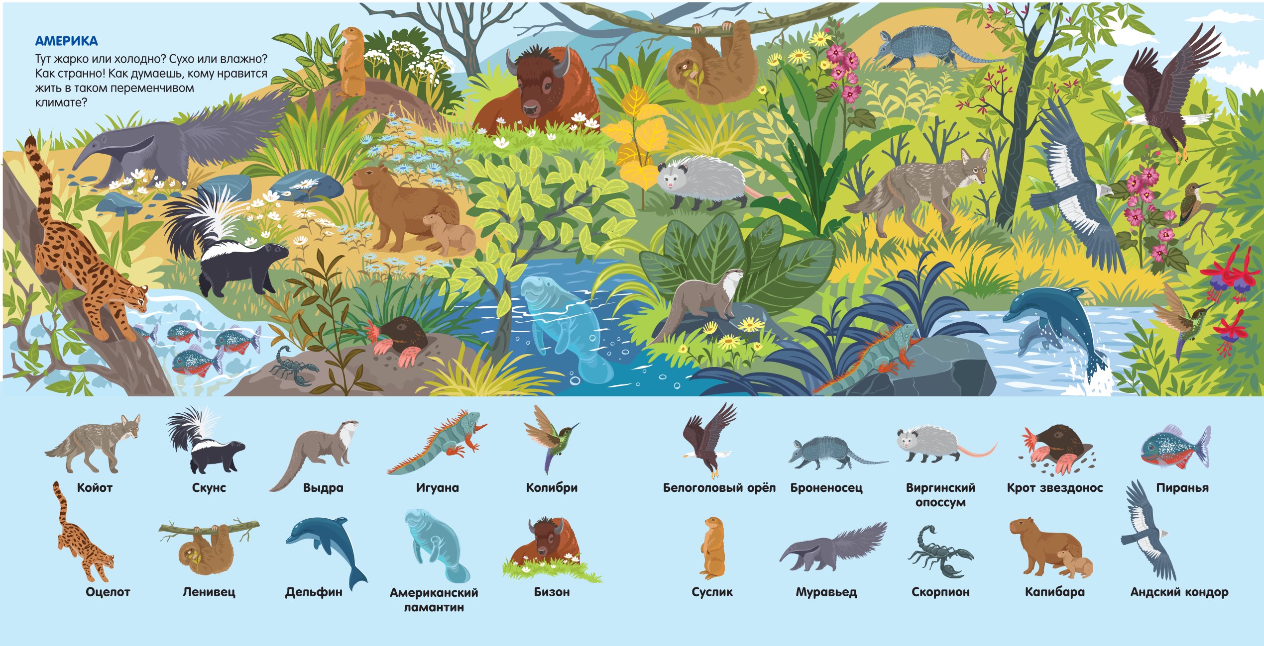 Книга АСТ Найди 101 животное В зоопарке - фото 4