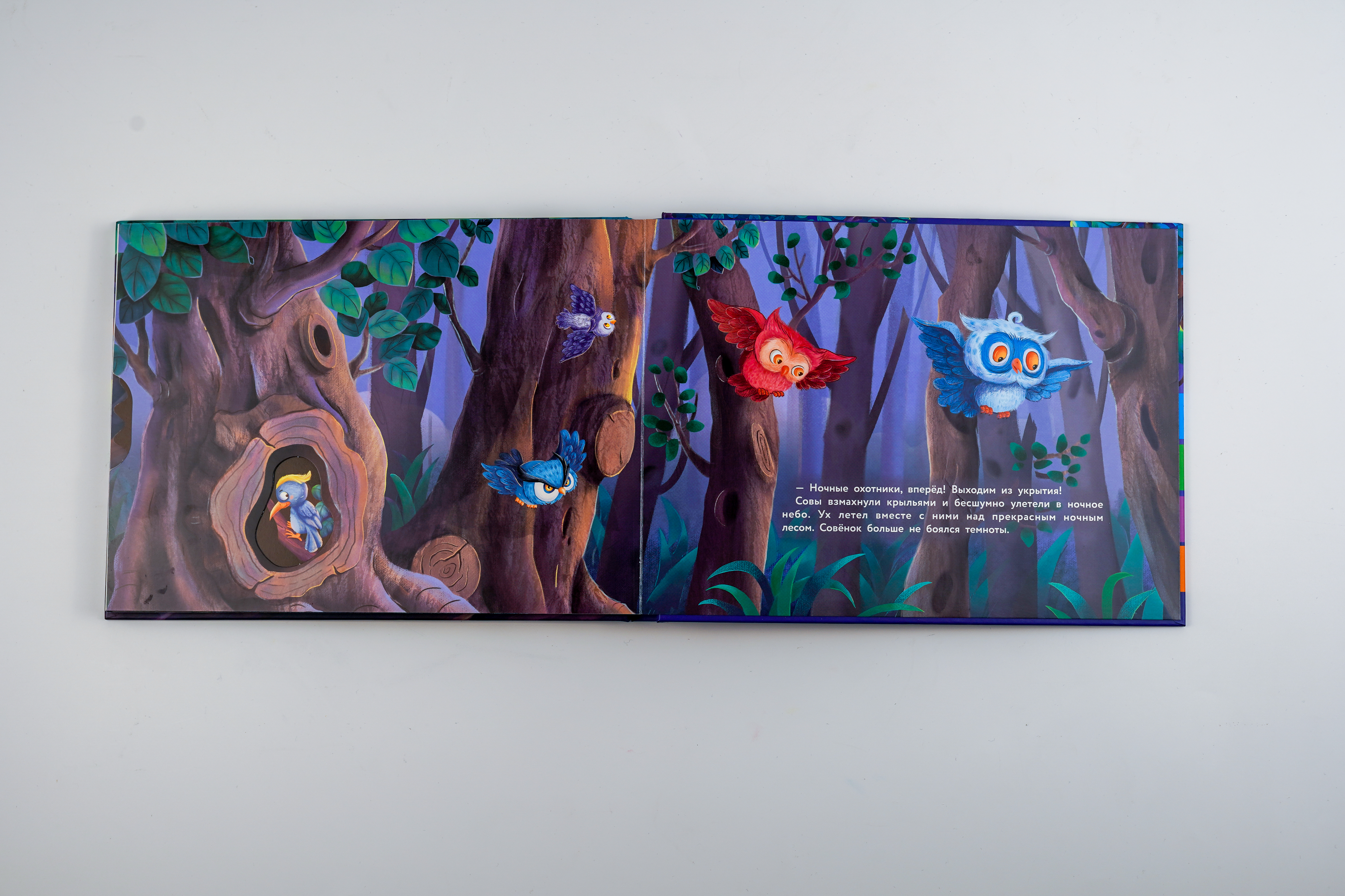 Книга АСТ Совёнок больше не боится темноты - фото 4