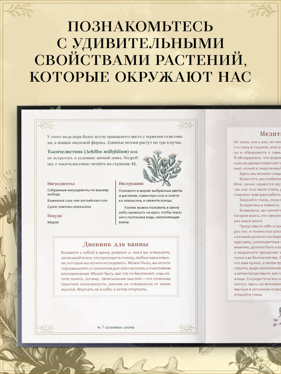 Книга Эксмо Травы. Магические запасы. Иллюстрированное руководство - фото 2